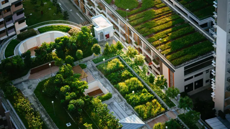 Techos verdes disminuyen el consumo energético hasta en 8 %: Daniel Esquenazi Beraha